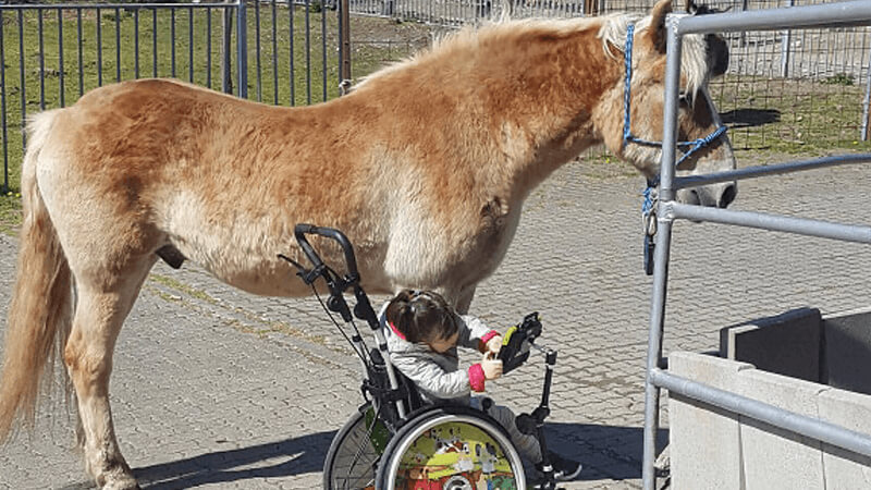 Tiergestützte Pädagogik in der Kinder- und Jugendhilfe