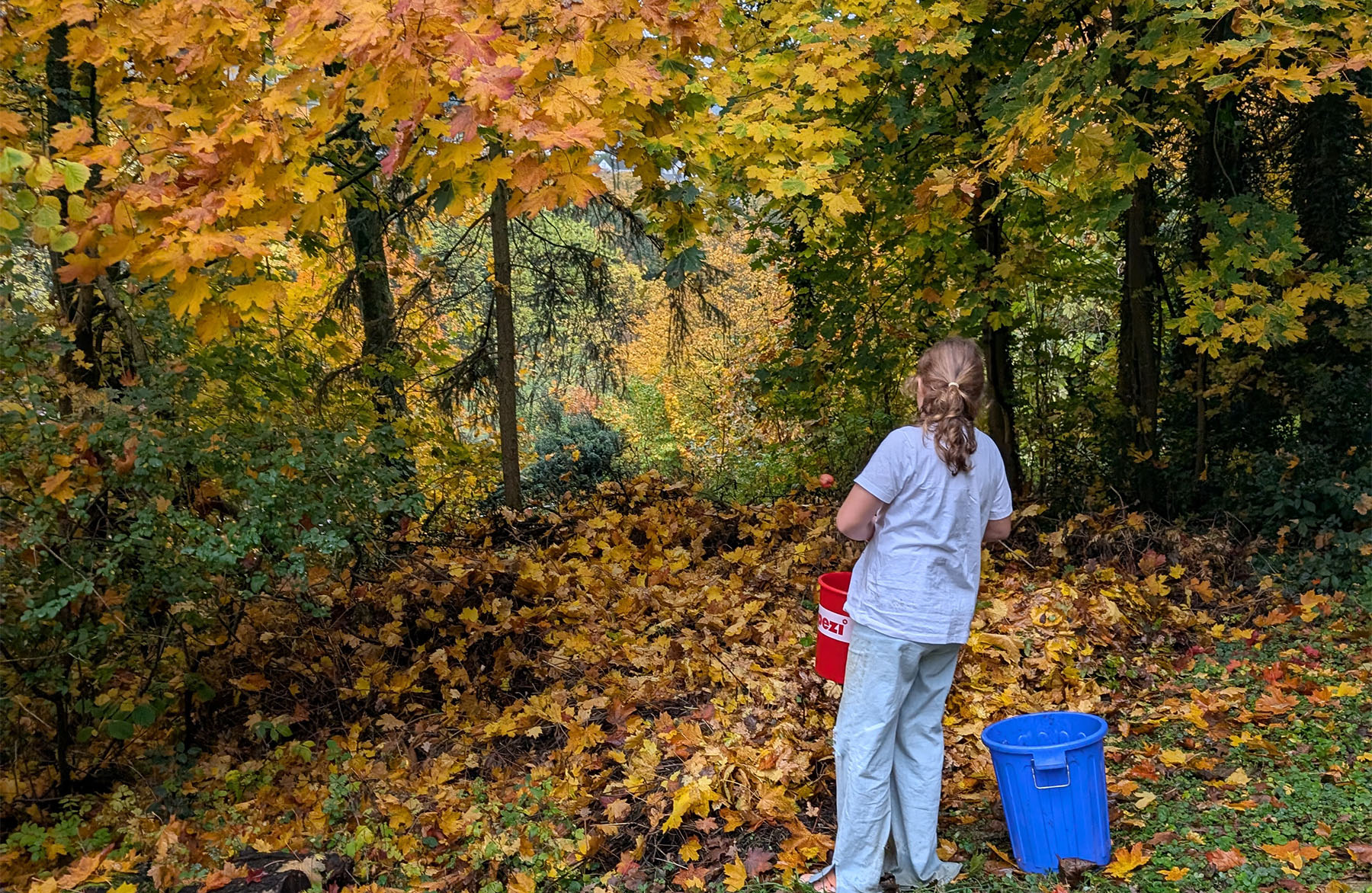 PXL 20251013 132029524