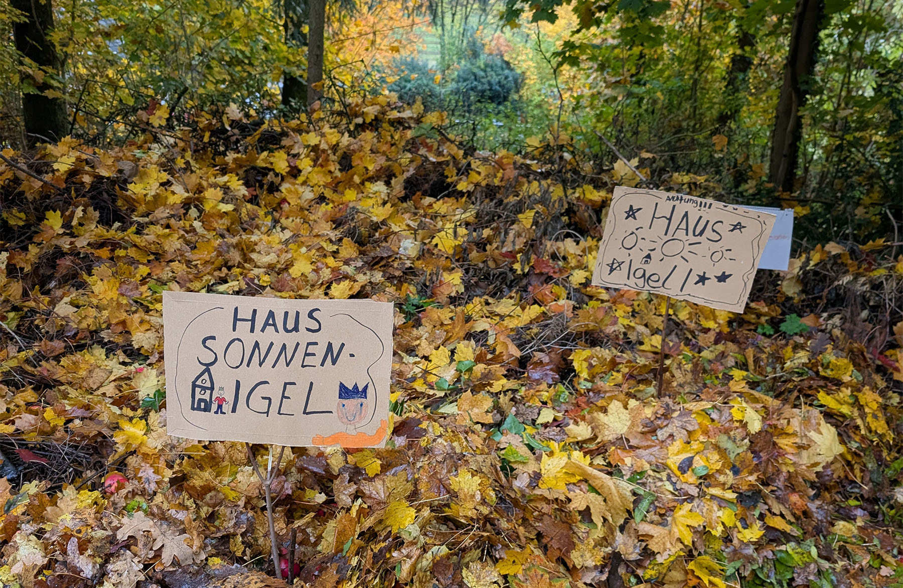 PXL 20251013 143509941