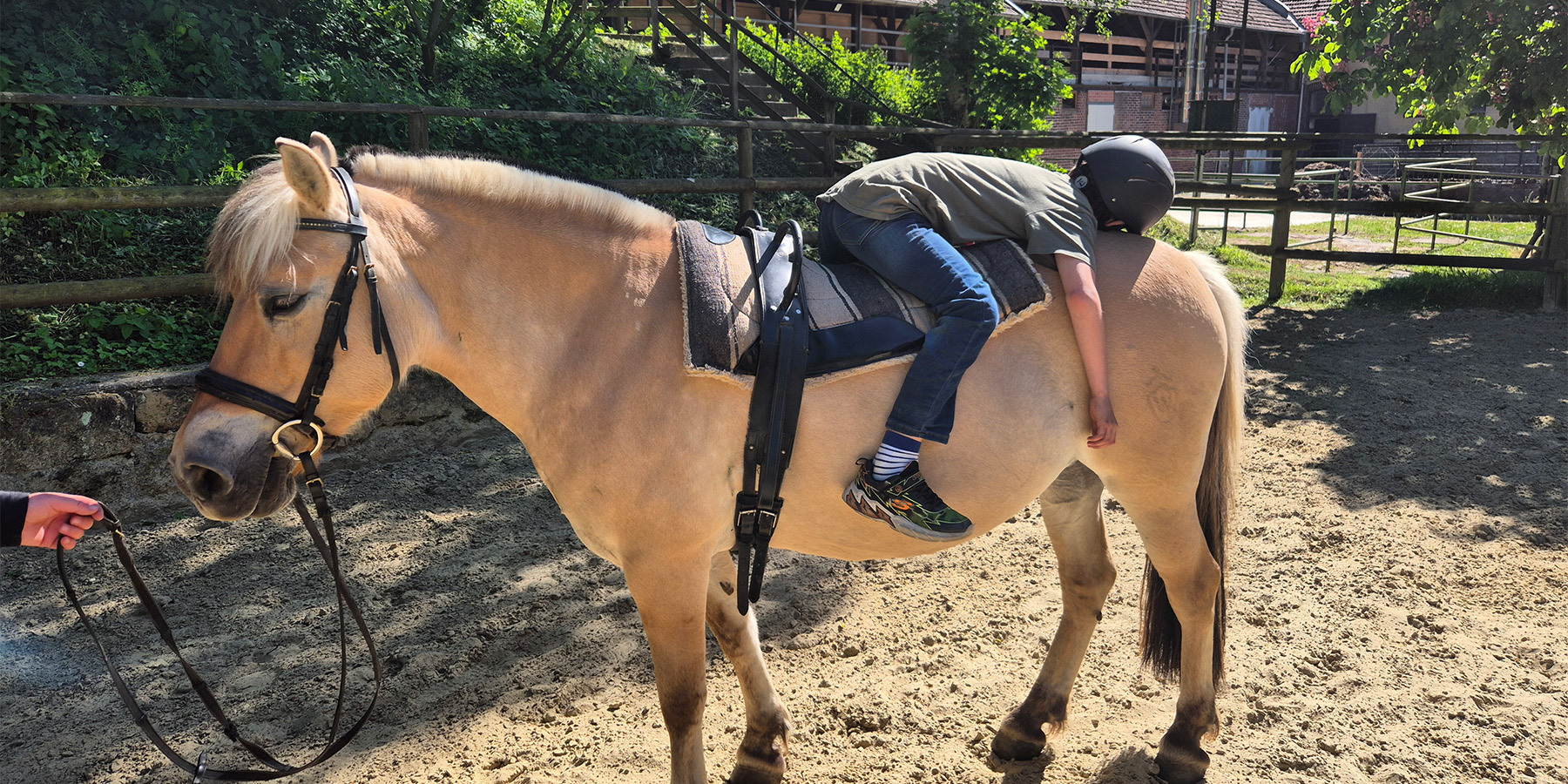 titelbild hsberg reiten